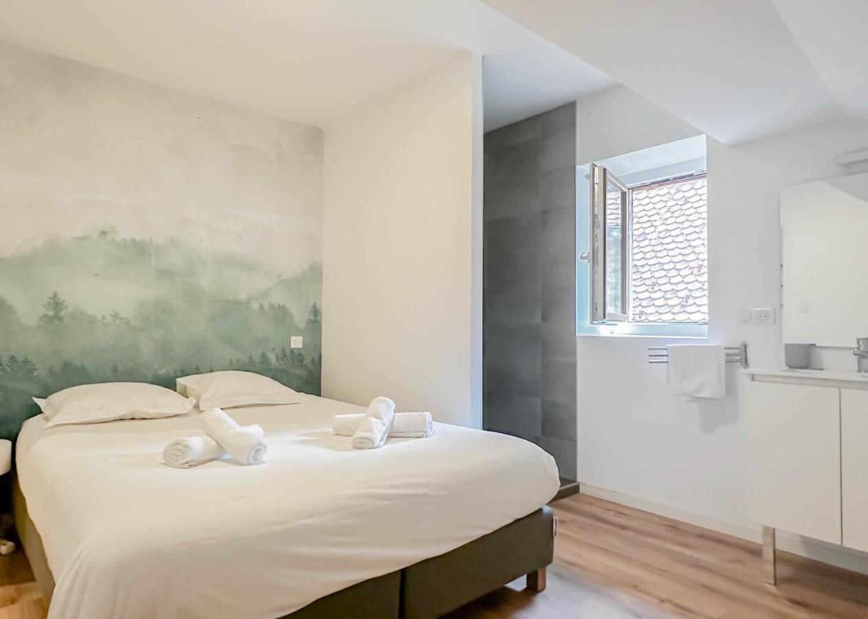 Rainbow, Rue Carnot Apartment Annecy Luaran gambar